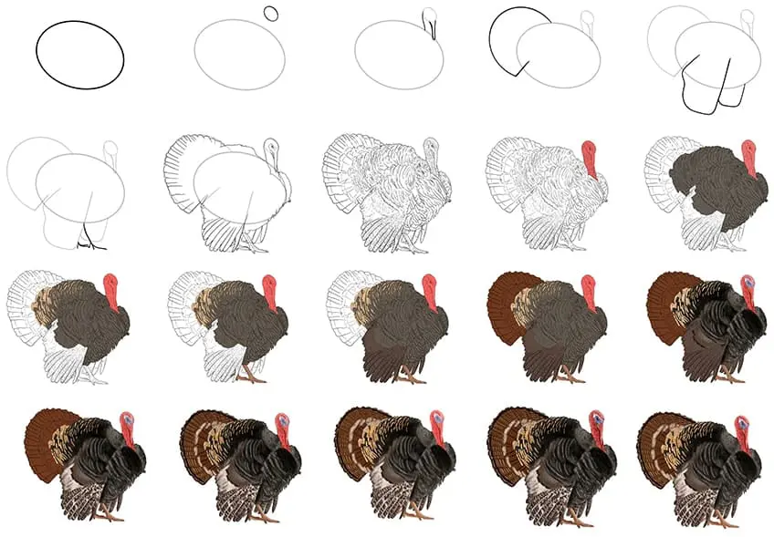 dessin de dinde facile