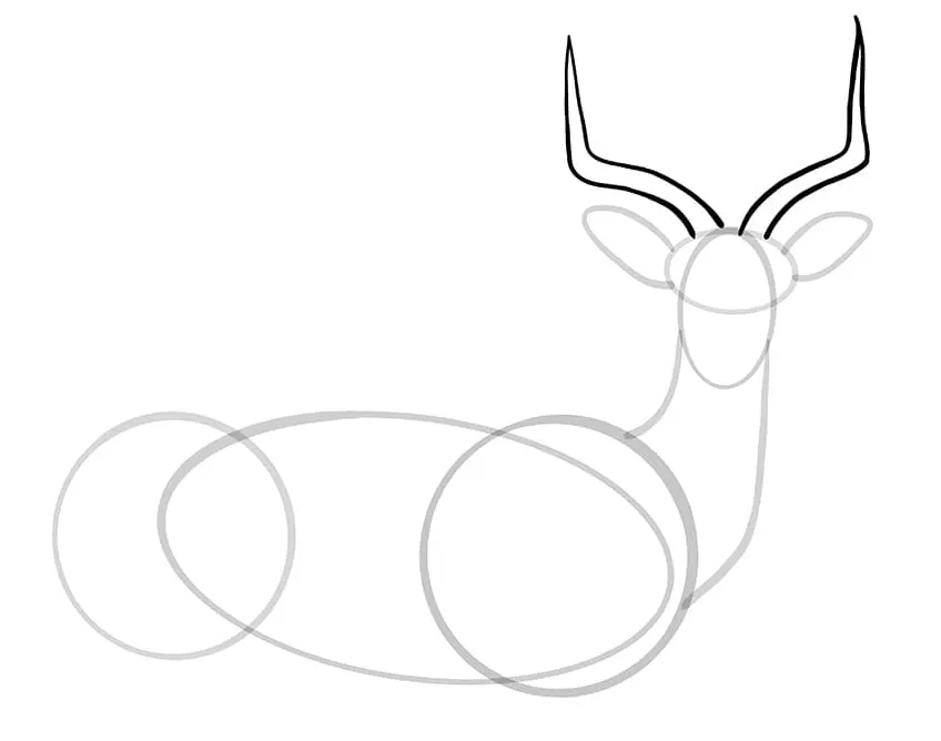 dessin impala 08