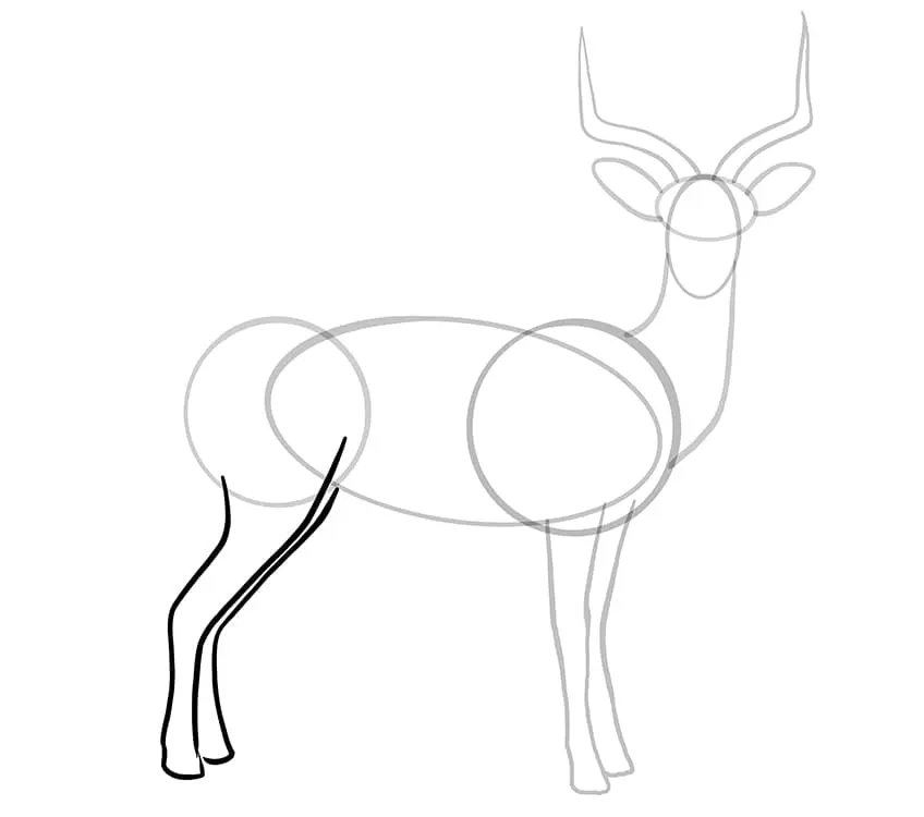dessin impala 10
