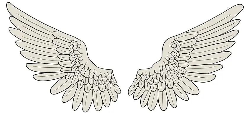 dessins d'ailes 12