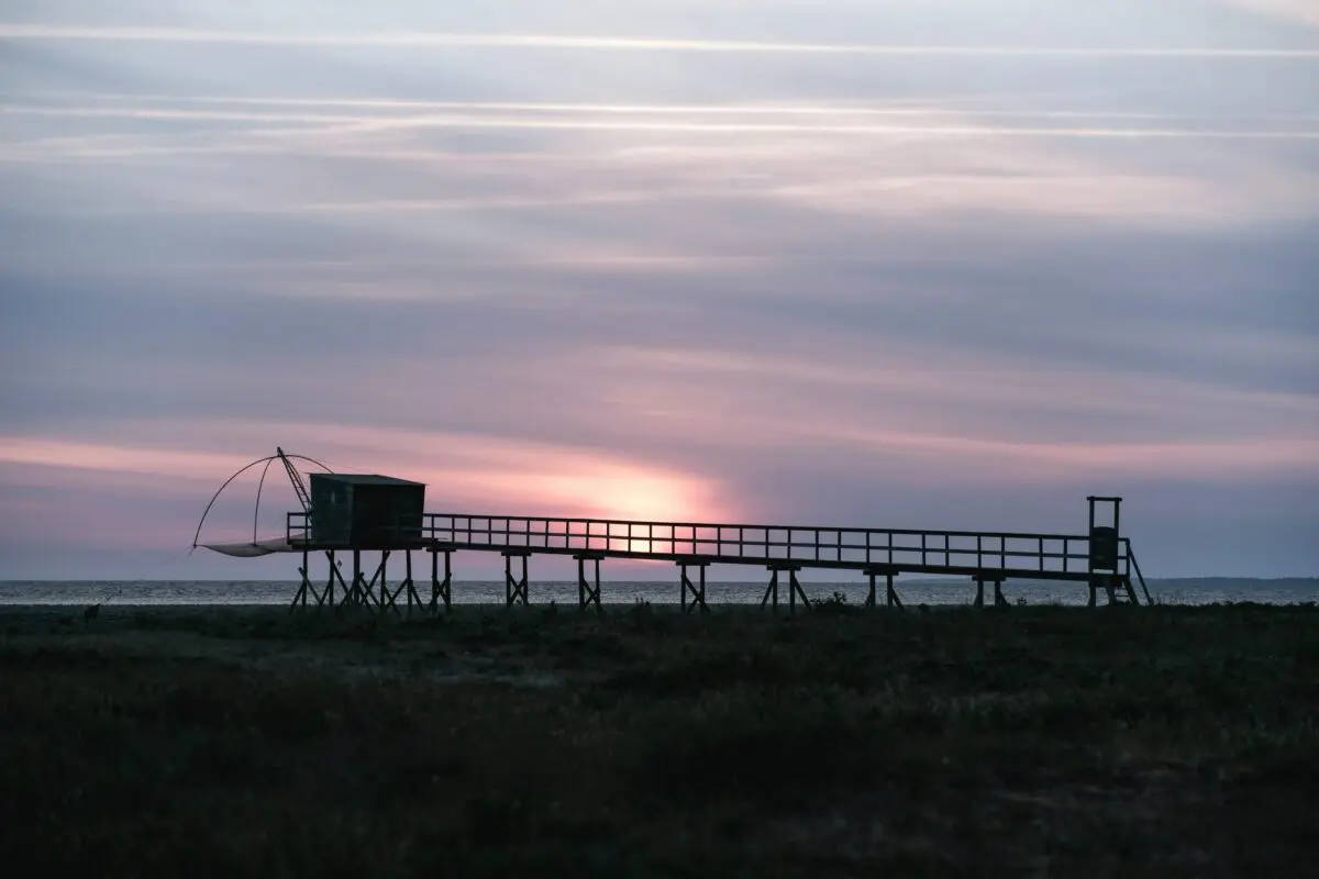 Pourquoi opter pour un abri en bois à toit plat ?