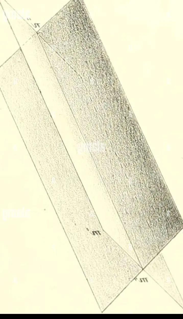 Bimi en Couleurs : L&rsquo;Explosion Créative dans la Peinture Contemporaine