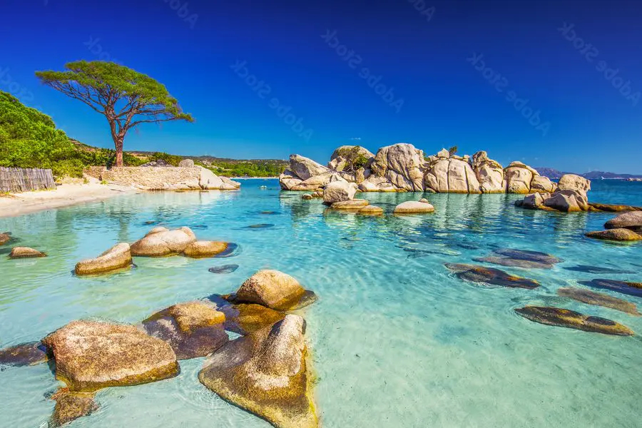 Découvrez le Photopin: Quand la Photographie Rencontre la Peinture