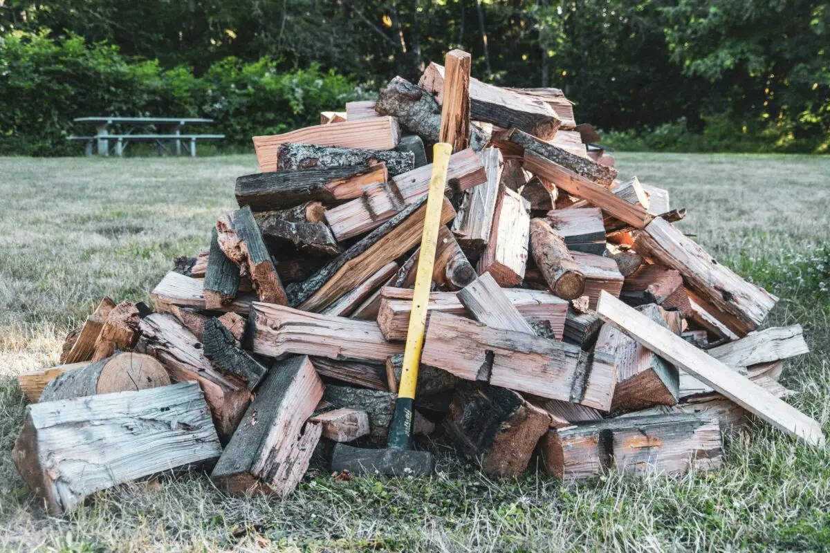 découvrez une sélection de bois de chauffage de qualité pour des moments chaleureux et conviviaux avec firewood.