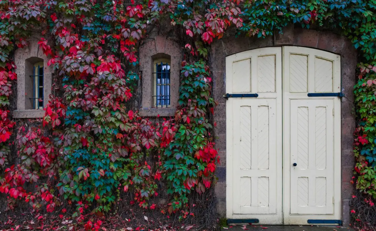 remplacement de porte de garage : découvrez nos services de remplacement de portes de garage pour améliorer l'aspect et la fonctionnalité de votre garage.
