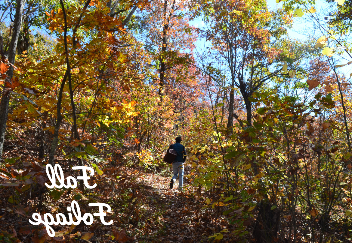 Les Couleurs de l&rsquo;Automne en Peinture: L&rsquo;Influence Envoûtante de la Citrouille dans les Œuvres Bancaires Artistiques