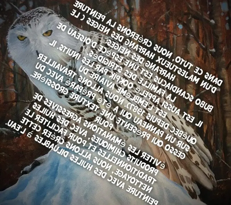 Comment peindre un hibou ?