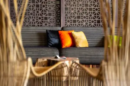 salon couleurs coussins