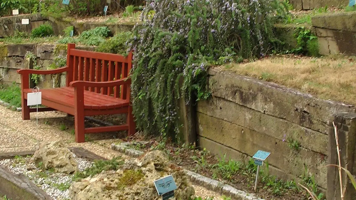banc de jardin bois