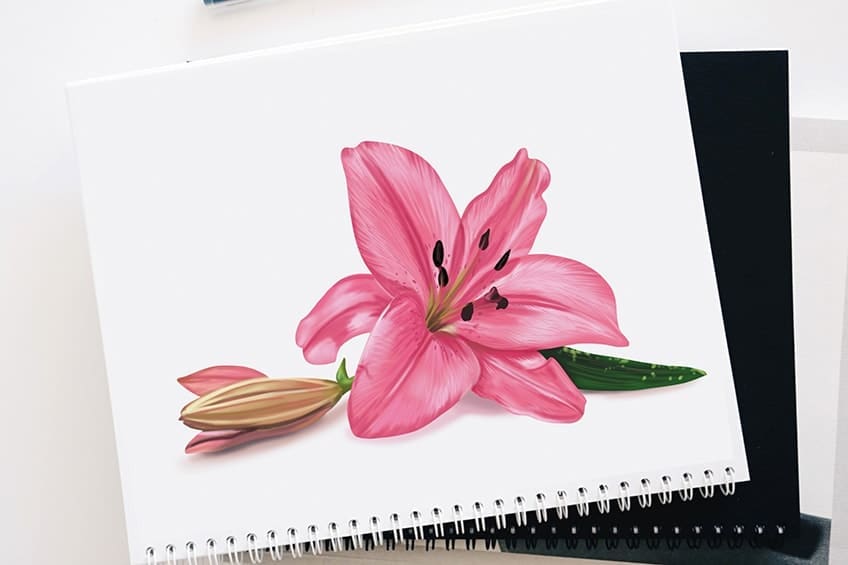 Comment dessiner une fleur de lys - Créez votre propre dessin de fleur