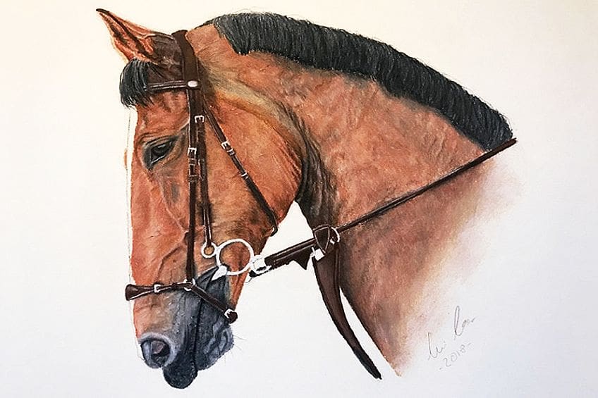 Comment dessiner une tête de cheval – Tutoriel étape par étape