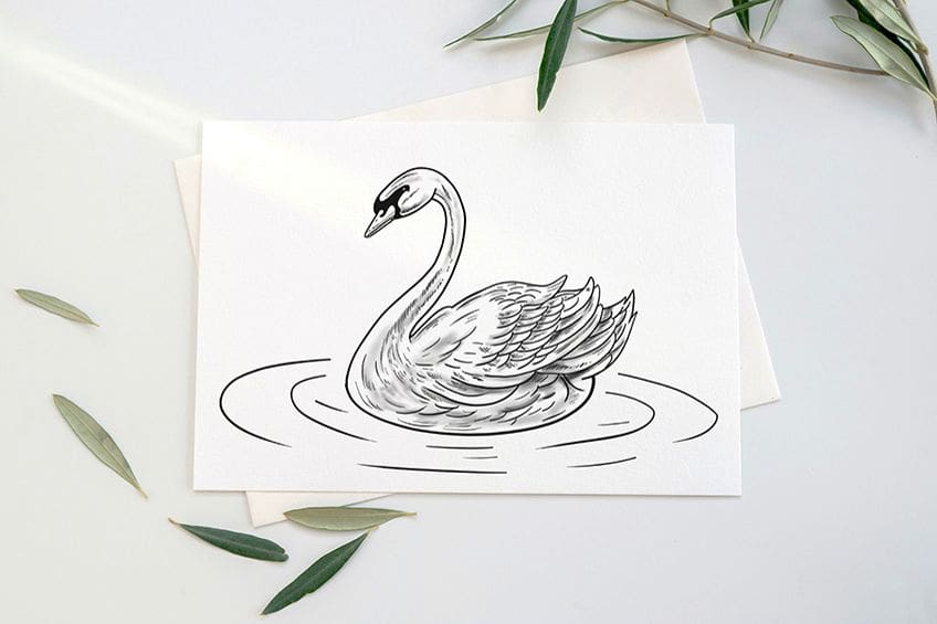 Comment dessiner un cygne – Un tutoriel sur la façon de dessiner un cygne réaliste