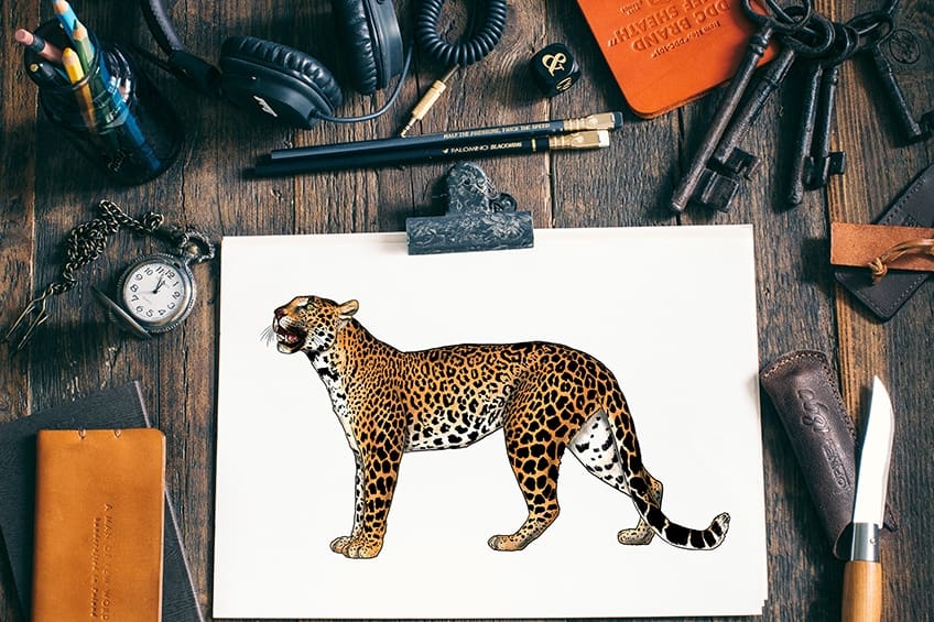 Comment dessiner un léopard – Le meilleur tutoriel pour un dessin réaliste de léopard