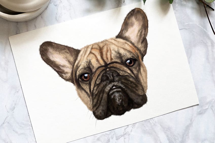 Comment dessiner un visage de chien – Un tutoriel de dessin amusant !