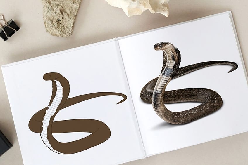 Comment dessiner un serpent - Un dessin de serpent amusant et facile