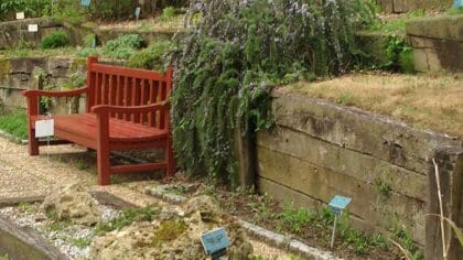 banc de jardin bois