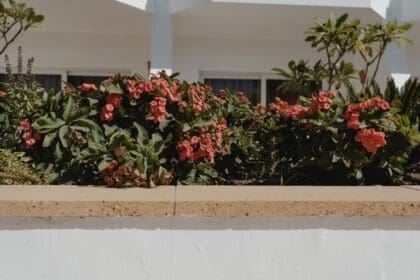 terrasse béton surélevée