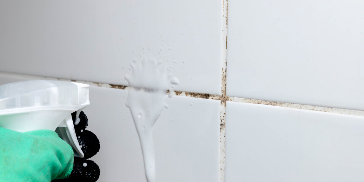 Brosse à poils souples passée sur les joints d'une douche en carrelage clair